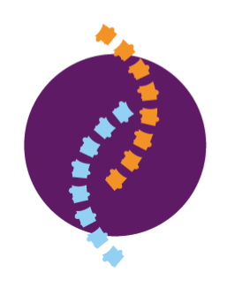 Logo Christina Goosse Kinésithérapeute Paliseul